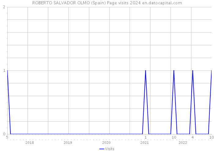ROBERTO SALVADOR OLMO (Spain) Page visits 2024 