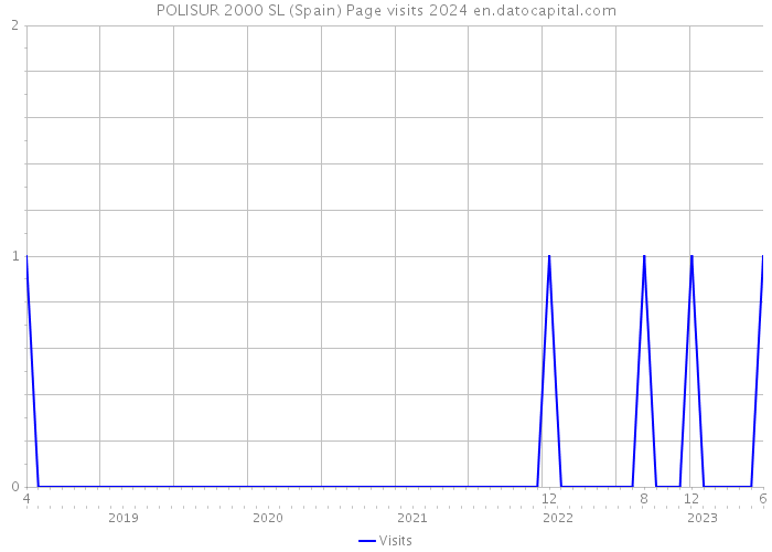 POLISUR 2000 SL (Spain) Page visits 2024 