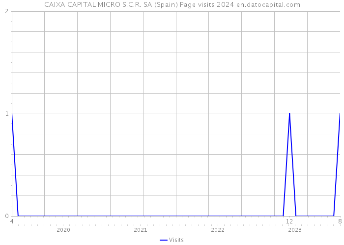 CAIXA CAPITAL MICRO S.C.R. SA (Spain) Page visits 2024 