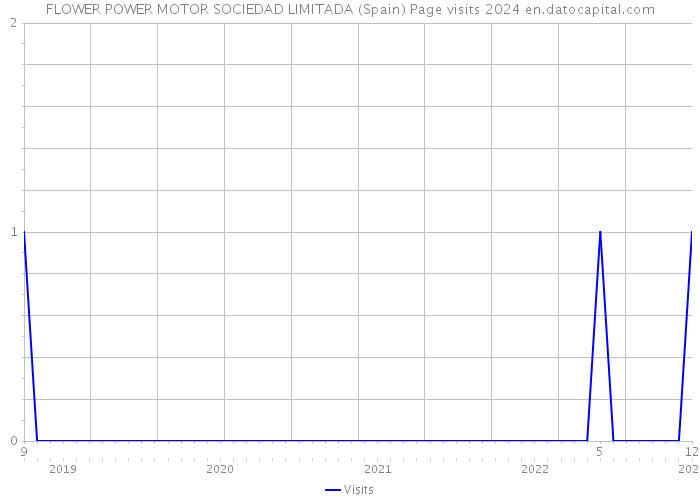 FLOWER POWER MOTOR SOCIEDAD LIMITADA (Spain) Page visits 2024 