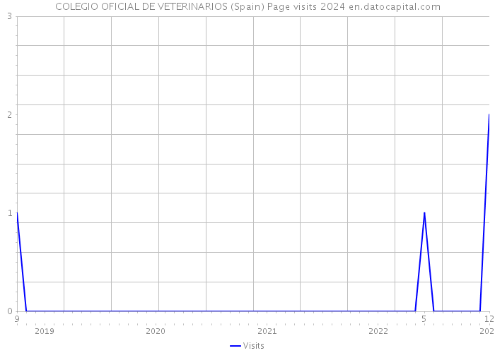 COLEGIO OFICIAL DE VETERINARIOS (Spain) Page visits 2024 