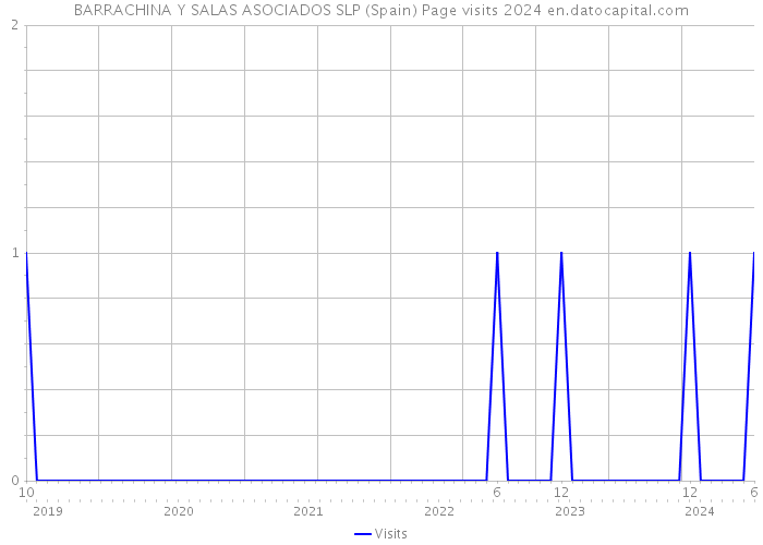 BARRACHINA Y SALAS ASOCIADOS SLP (Spain) Page visits 2024 