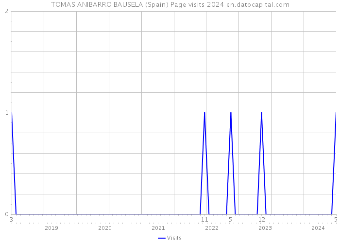 TOMAS ANIBARRO BAUSELA (Spain) Page visits 2024 