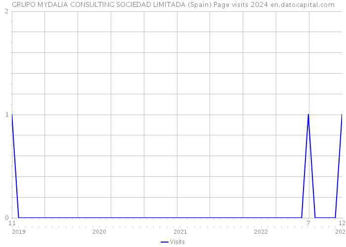 GRUPO MYDALIA CONSULTING SOCIEDAD LIMITADA (Spain) Page visits 2024 