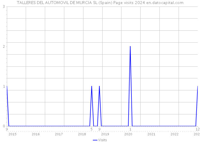 TALLERES DEL AUTOMOVIL DE MURCIA SL (Spain) Page visits 2024 