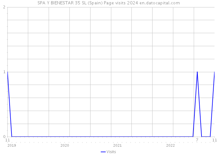 SPA Y BIENESTAR 35 SL (Spain) Page visits 2024 