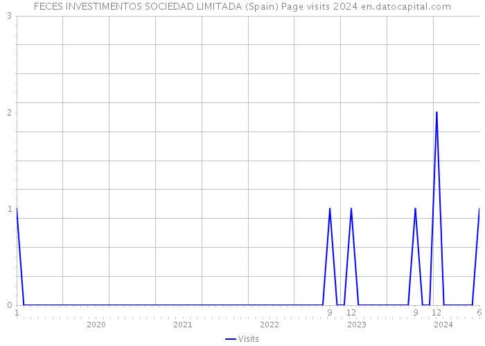FECES INVESTIMENTOS SOCIEDAD LIMITADA (Spain) Page visits 2024 