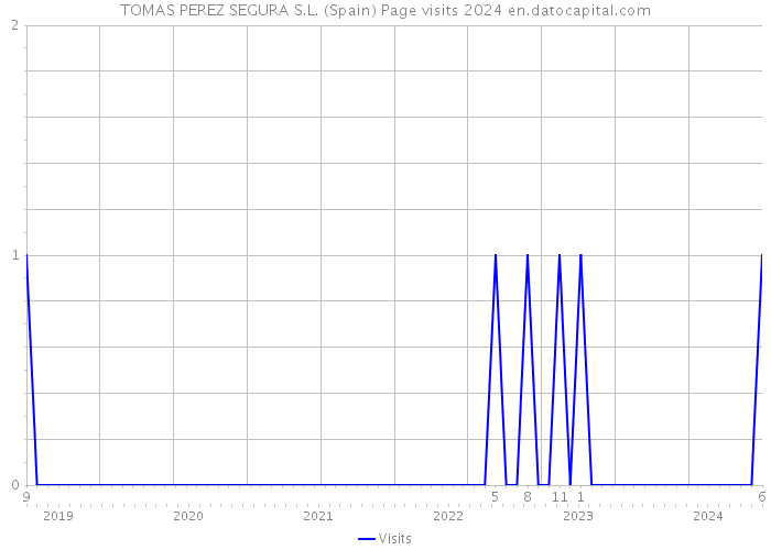 TOMAS PEREZ SEGURA S.L. (Spain) Page visits 2024 