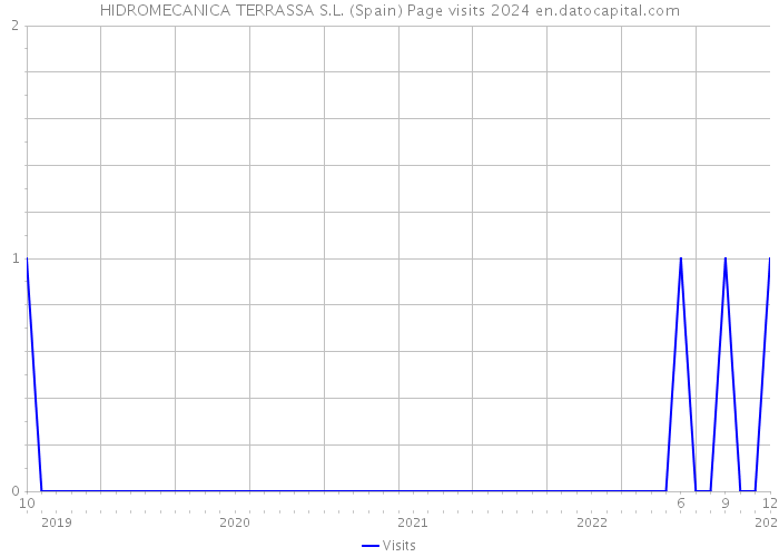 HIDROMECANICA TERRASSA S.L. (Spain) Page visits 2024 