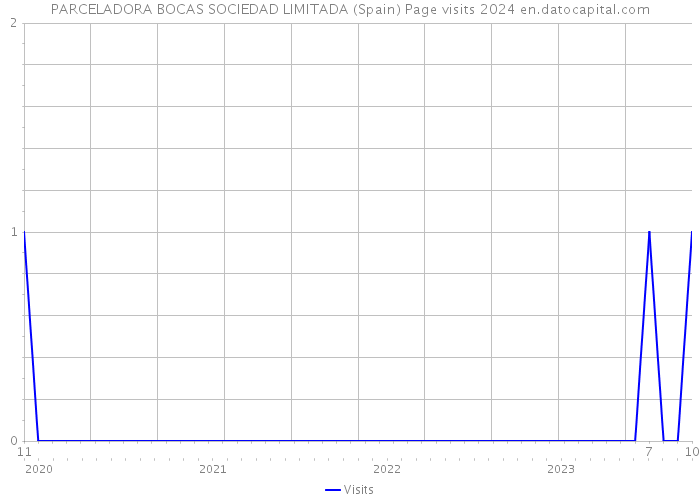 PARCELADORA BOCAS SOCIEDAD LIMITADA (Spain) Page visits 2024 