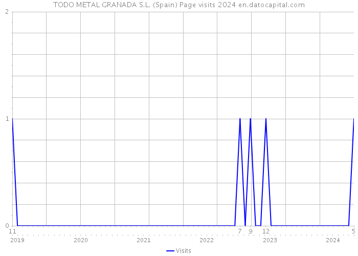 TODO METAL GRANADA S.L. (Spain) Page visits 2024 