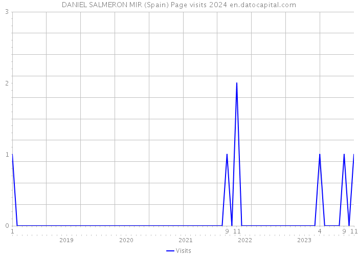 DANIEL SALMERON MIR (Spain) Page visits 2024 