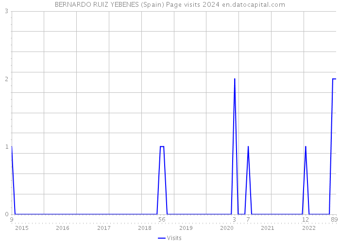 BERNARDO RUIZ YEBENES (Spain) Page visits 2024 