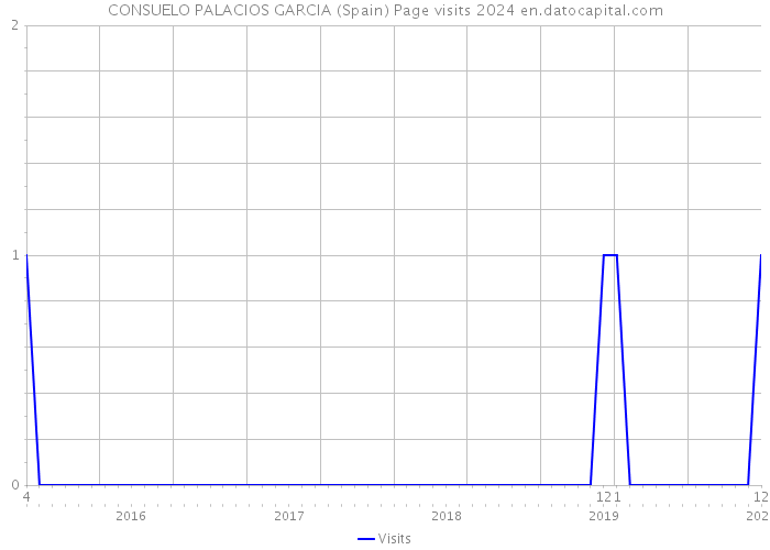 CONSUELO PALACIOS GARCIA (Spain) Page visits 2024 