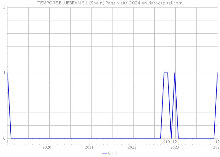 TEMPORE BLUEBEAN S.L (Spain) Page visits 2024 