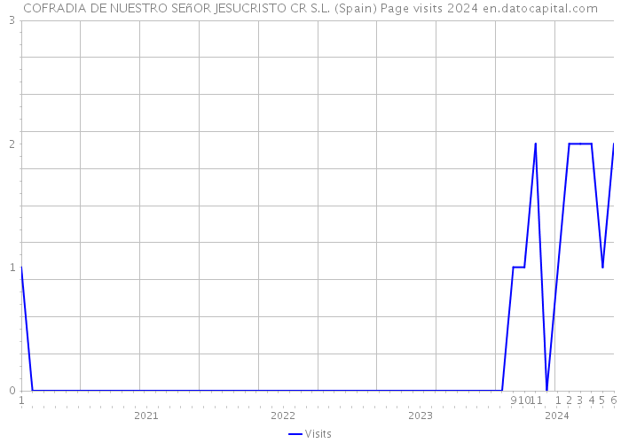 COFRADIA DE NUESTRO SEñOR JESUCRISTO CR S.L. (Spain) Page visits 2024 