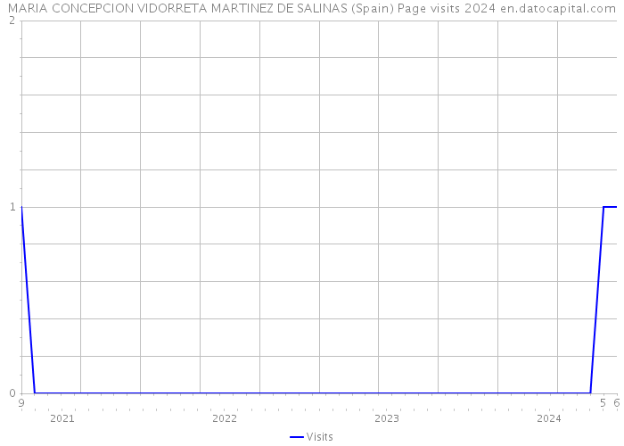 MARIA CONCEPCION VIDORRETA MARTINEZ DE SALINAS (Spain) Page visits 2024 