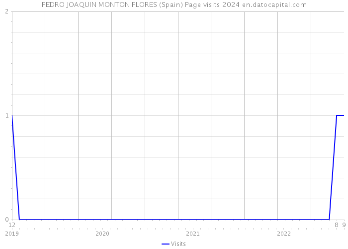 PEDRO JOAQUIN MONTON FLORES (Spain) Page visits 2024 