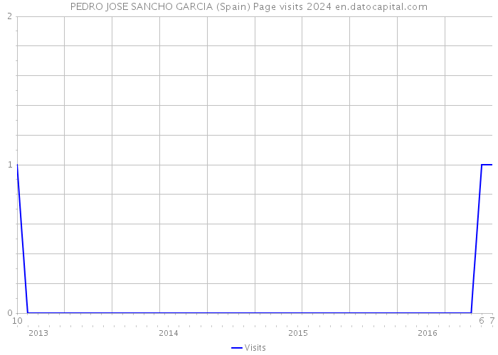 PEDRO JOSE SANCHO GARCIA (Spain) Page visits 2024 