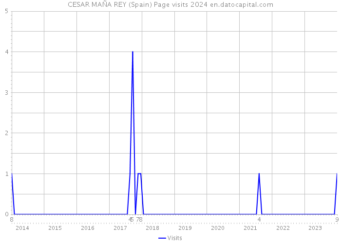 CESAR MAÑA REY (Spain) Page visits 2024 