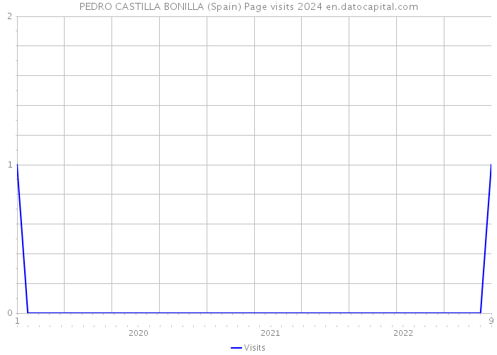 PEDRO CASTILLA BONILLA (Spain) Page visits 2024 