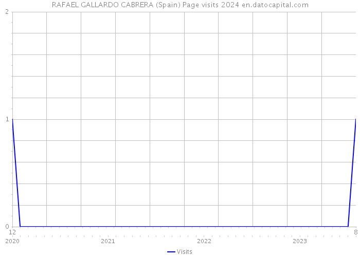 RAFAEL GALLARDO CABRERA (Spain) Page visits 2024 