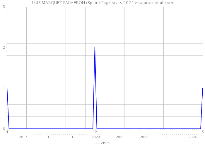 LUIS MARQUEZ SALMERON (Spain) Page visits 2024 
