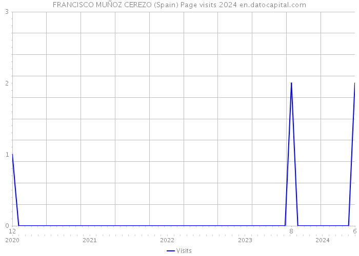 FRANCISCO MUÑOZ CEREZO (Spain) Page visits 2024 