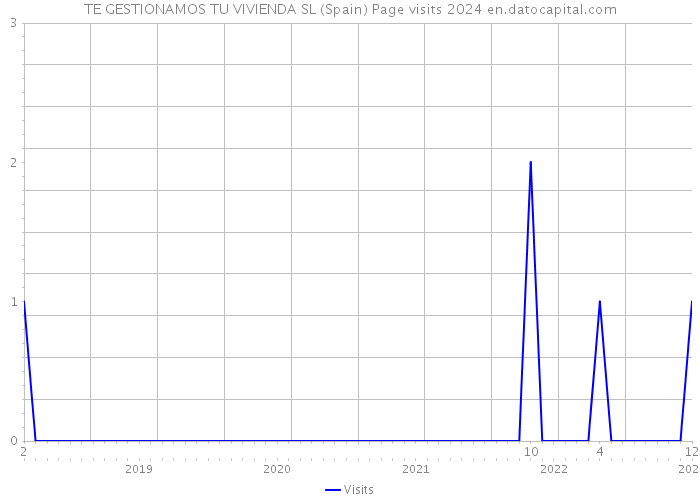 TE GESTIONAMOS TU VIVIENDA SL (Spain) Page visits 2024 