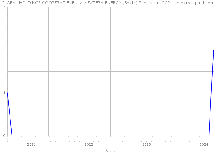 GLOBAL HOLDINGS COOPERATIEVE U.A NEXTERA ENERGY (Spain) Page visits 2024 