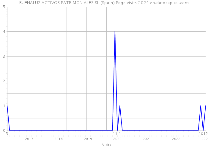 BUENALUZ ACTIVOS PATRIMONIALES SL (Spain) Page visits 2024 