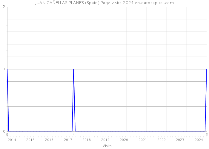 JUAN CAÑELLAS PLANES (Spain) Page visits 2024 