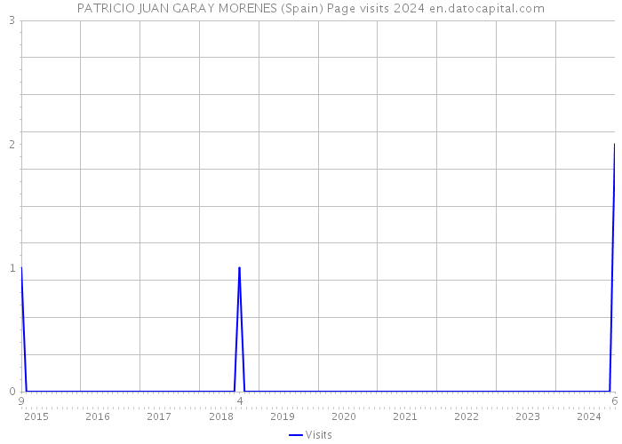PATRICIO JUAN GARAY MORENES (Spain) Page visits 2024 