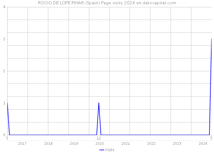 ROCIO DE LOPE PINAR (Spain) Page visits 2024 