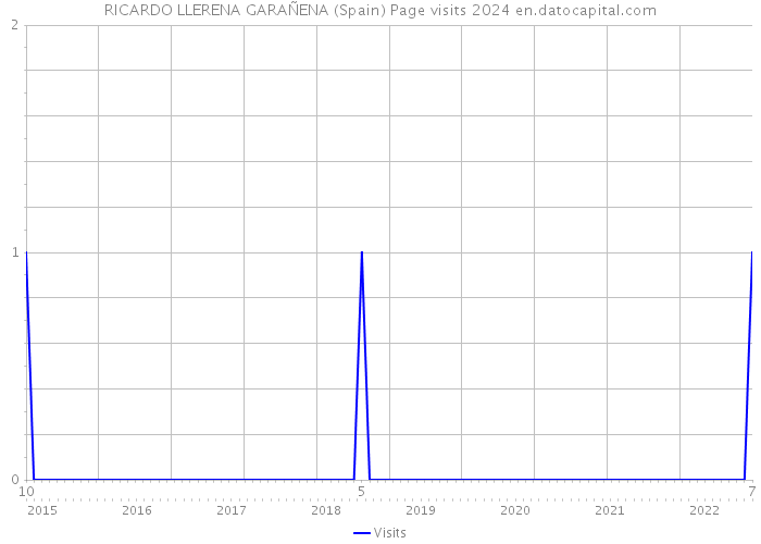 RICARDO LLERENA GARAÑENA (Spain) Page visits 2024 