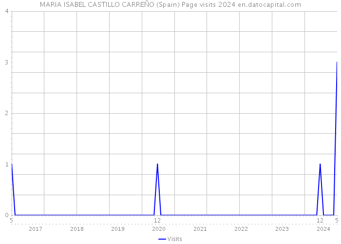 MARIA ISABEL CASTILLO CARREÑO (Spain) Page visits 2024 