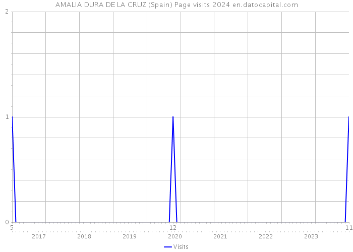 AMALIA DURA DE LA CRUZ (Spain) Page visits 2024 