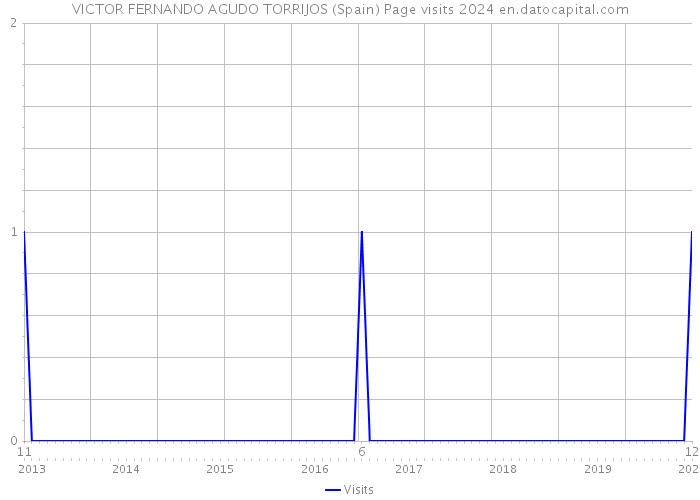 VICTOR FERNANDO AGUDO TORRIJOS (Spain) Page visits 2024 