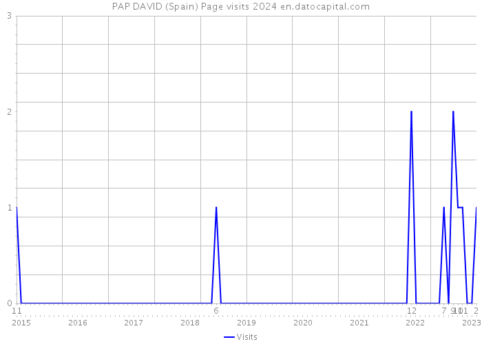 PAP DAVID (Spain) Page visits 2024 