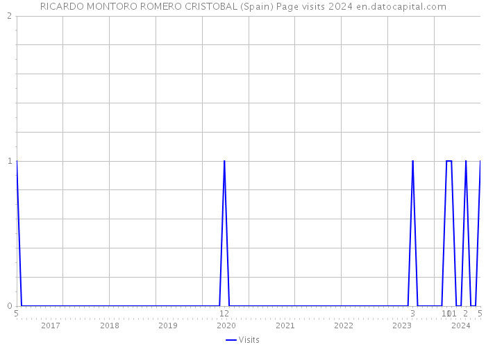RICARDO MONTORO ROMERO CRISTOBAL (Spain) Page visits 2024 