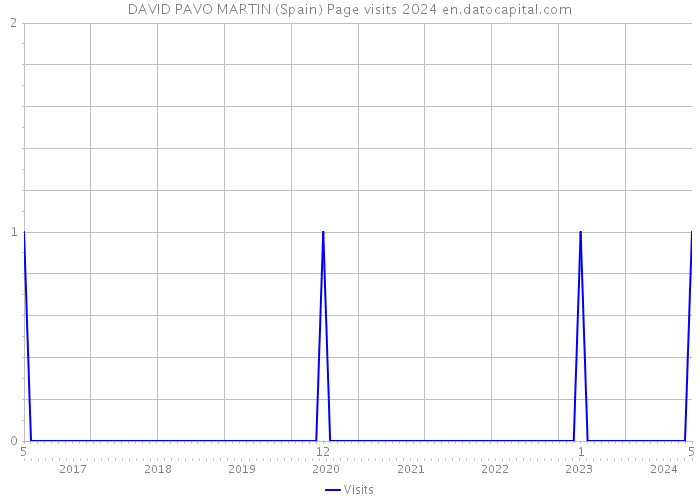 DAVID PAVO MARTIN (Spain) Page visits 2024 