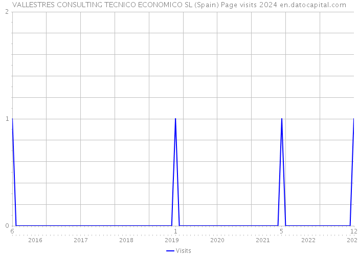 VALLESTRES CONSULTING TECNICO ECONOMICO SL (Spain) Page visits 2024 