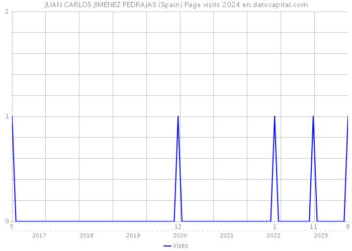 JUAN CARLOS JIMENEZ PEDRAJAS (Spain) Page visits 2024 