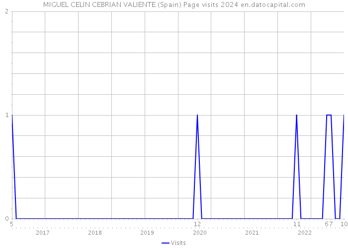 MIGUEL CELIN CEBRIAN VALIENTE (Spain) Page visits 2024 