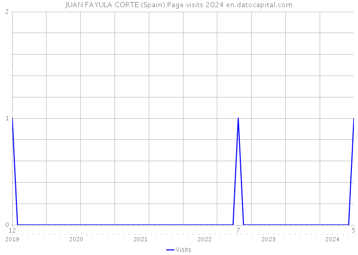 JUAN FAYULA CORTE (Spain) Page visits 2024 