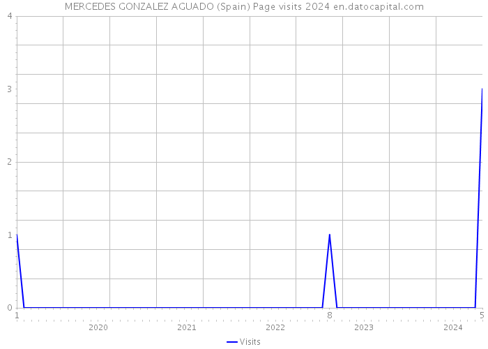 MERCEDES GONZALEZ AGUADO (Spain) Page visits 2024 