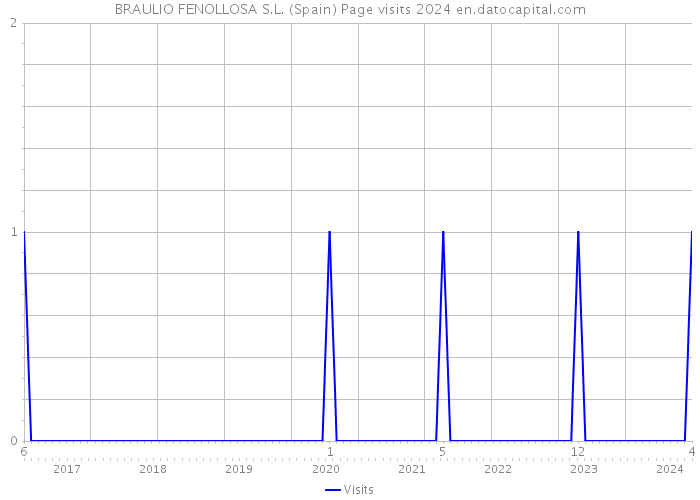 BRAULIO FENOLLOSA S.L. (Spain) Page visits 2024 