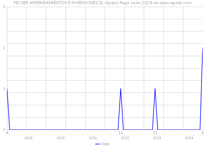 PEYSER ARRENDAMIENTOS E INVERSIONES SL (Spain) Page visits 2024 