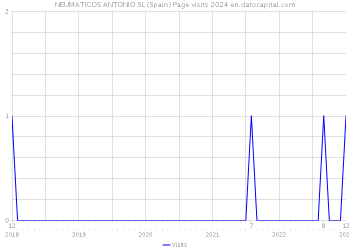 NEUMATICOS ANTONIO SL (Spain) Page visits 2024 