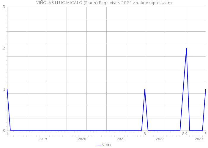 VIÑOLAS LLUC MICALO (Spain) Page visits 2024 